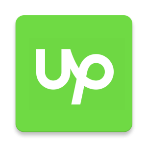 Webflow developer Upwork